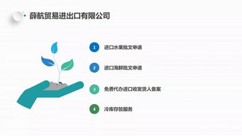 獨(dú)家分享 薛航物流綜合貨運(yùn)代理一站式服務(wù)，高效裝卸搬運(yùn)助力企業(yè)騰飛